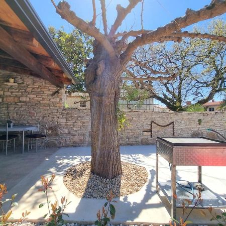 Apartamento Casa Mora Novigrad Istria Exterior foto